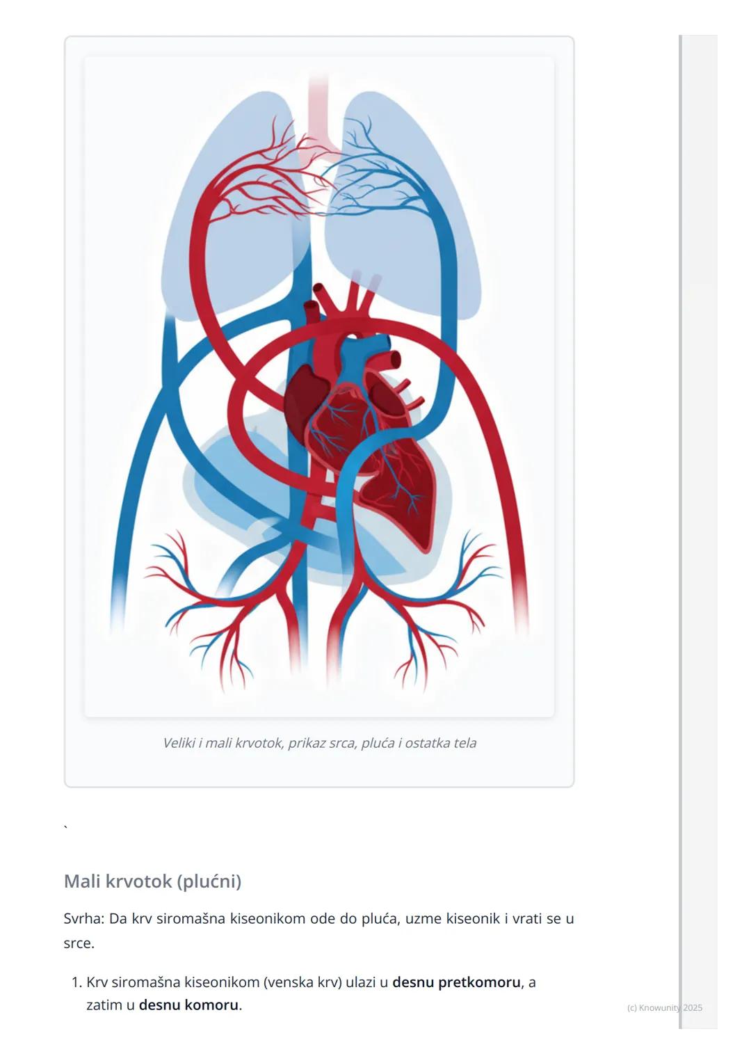 # Sistem organa za krvotok

Uvod u sistem organa za krvotok

Sistem organa za krvotok je kao transportni sistem u našem telu. Njegov
glavni 