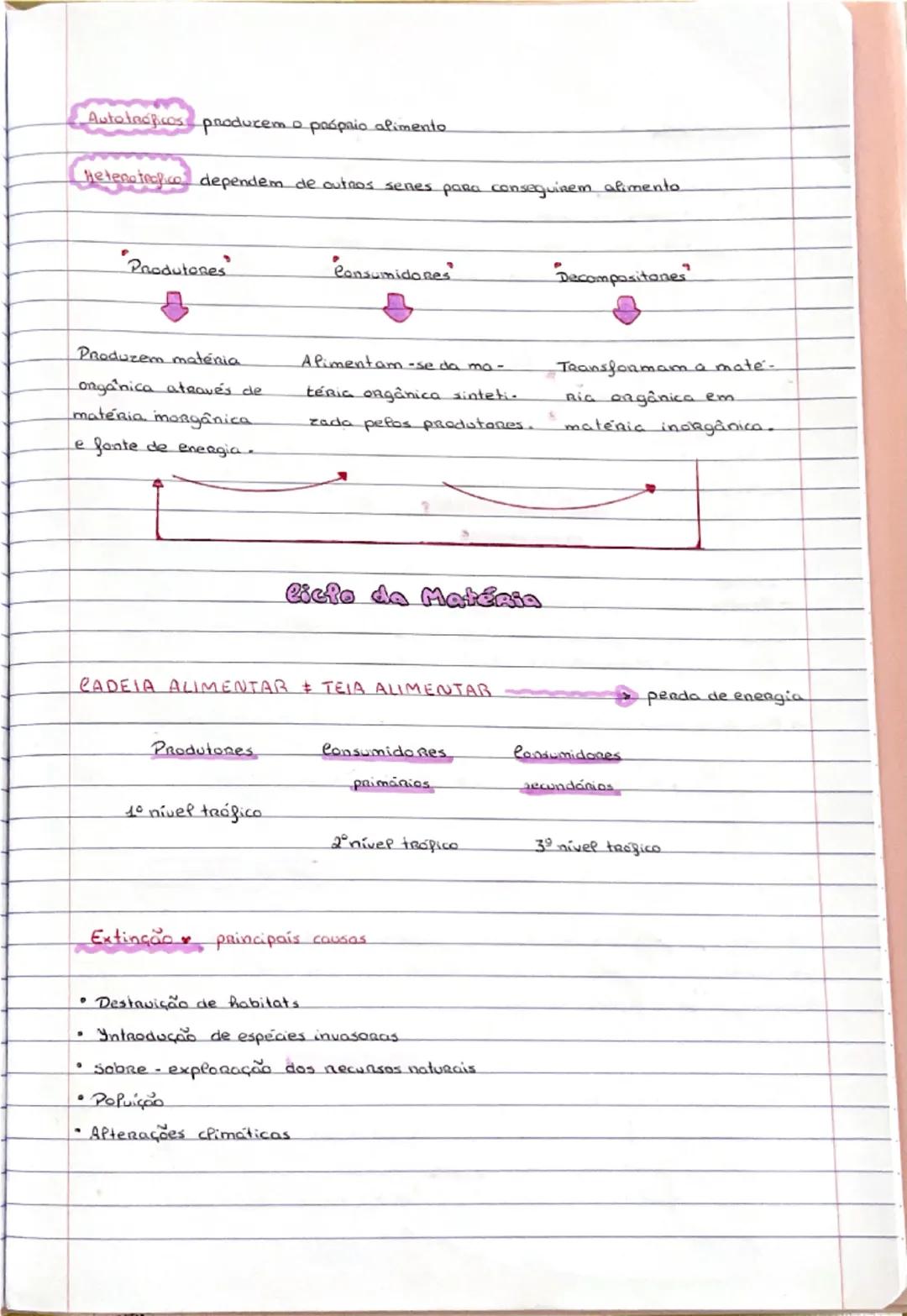 Ciclo da matéria, autográficos e heterotroficos, cadeias alimentares e motivos de extinção 