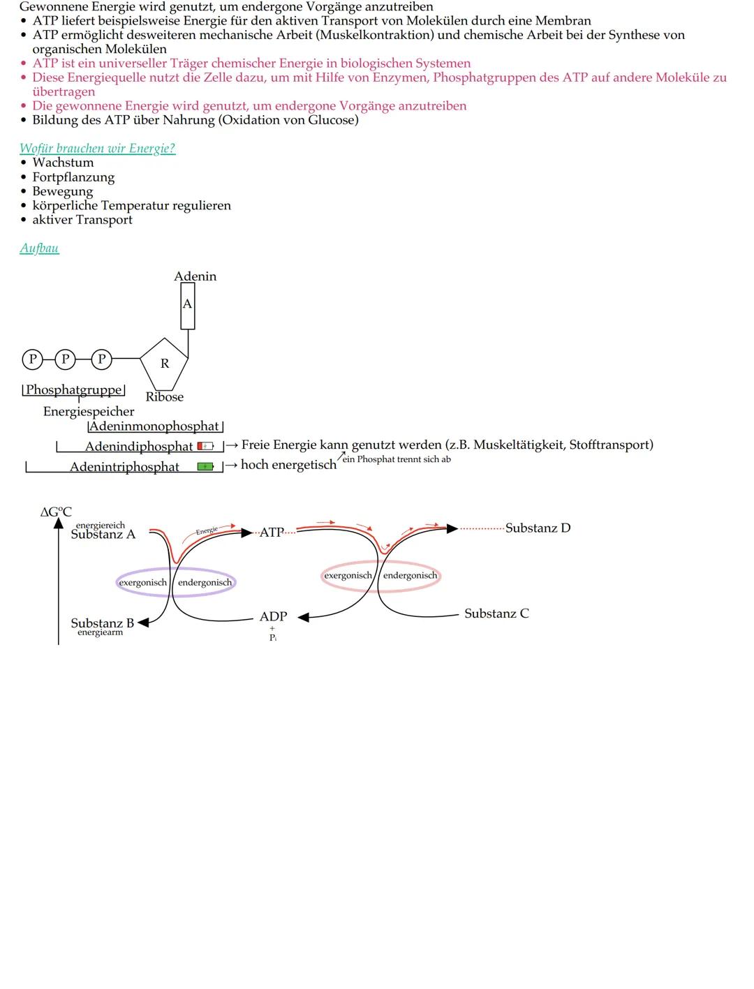 # Merkmale der Lebewesen

• Wachstum

• Fortpflanzung

• Bewegung

• Ernährung

• Stoffwechsel

• Ausscheidung

• Reizbarkeit

• (Lebewesen)