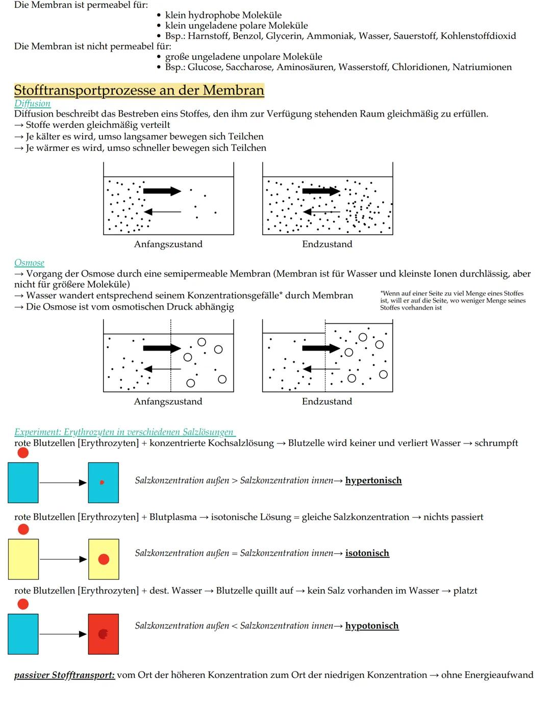 # Merkmale der Lebewesen

• Wachstum

• Fortpflanzung

• Bewegung

• Ernährung

• Stoffwechsel

• Ausscheidung

• Reizbarkeit

• (Lebewesen)