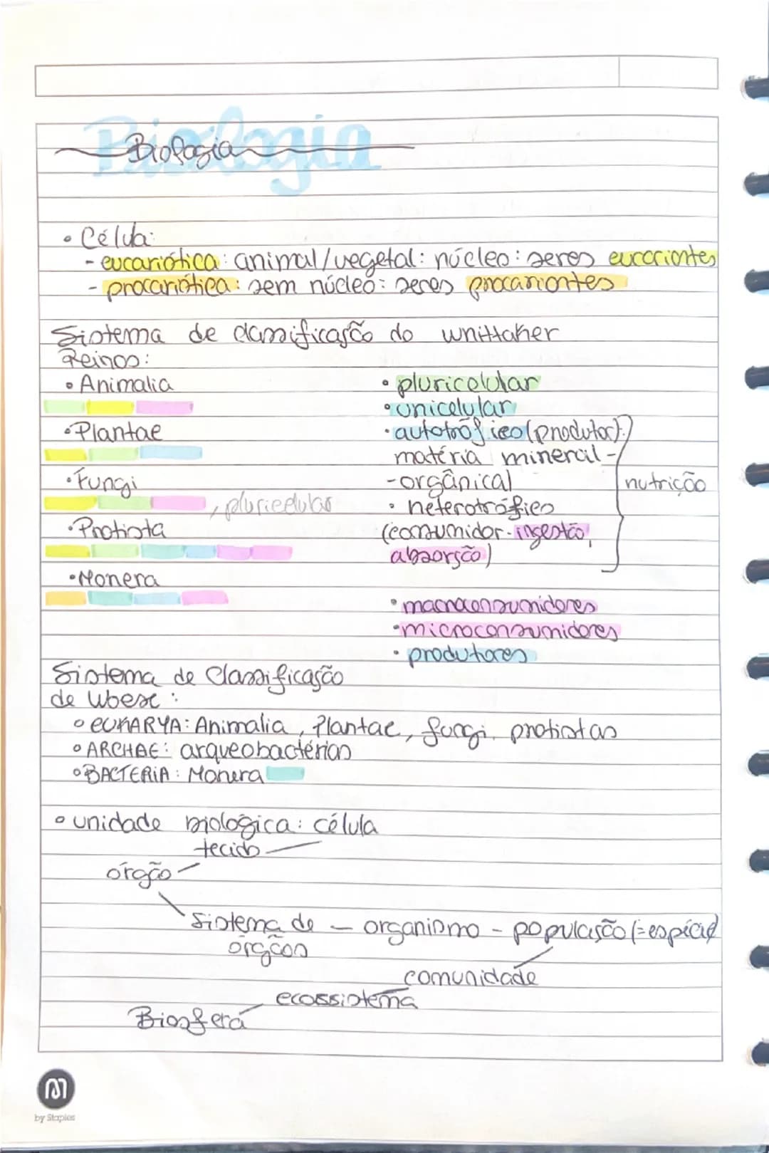 Resumos Biologia 