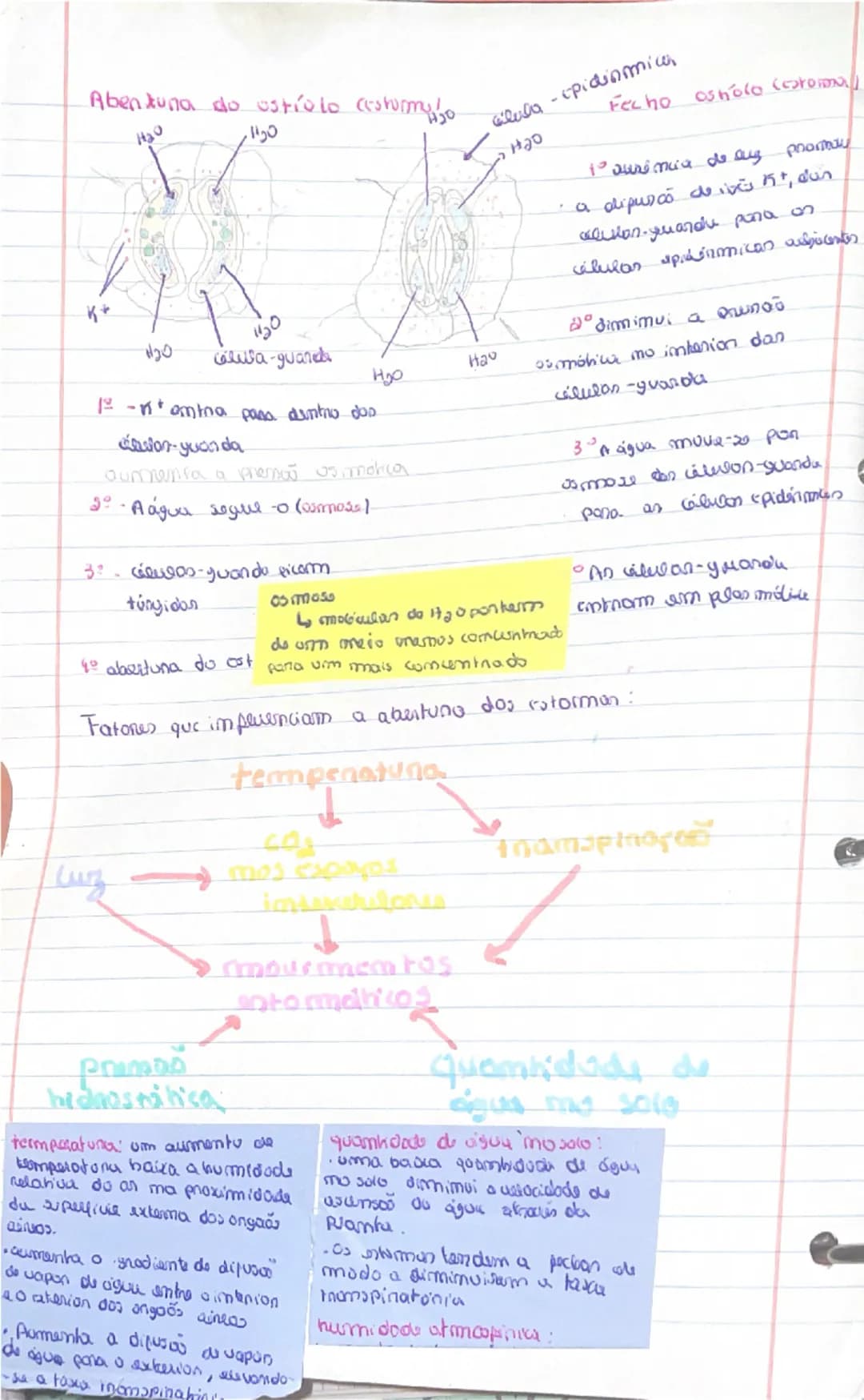 know - 2