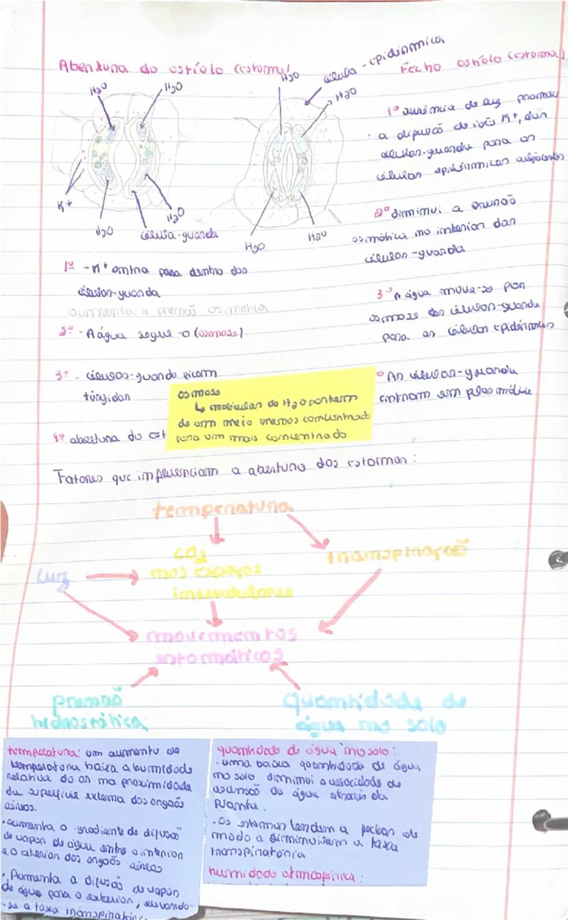 know - 2