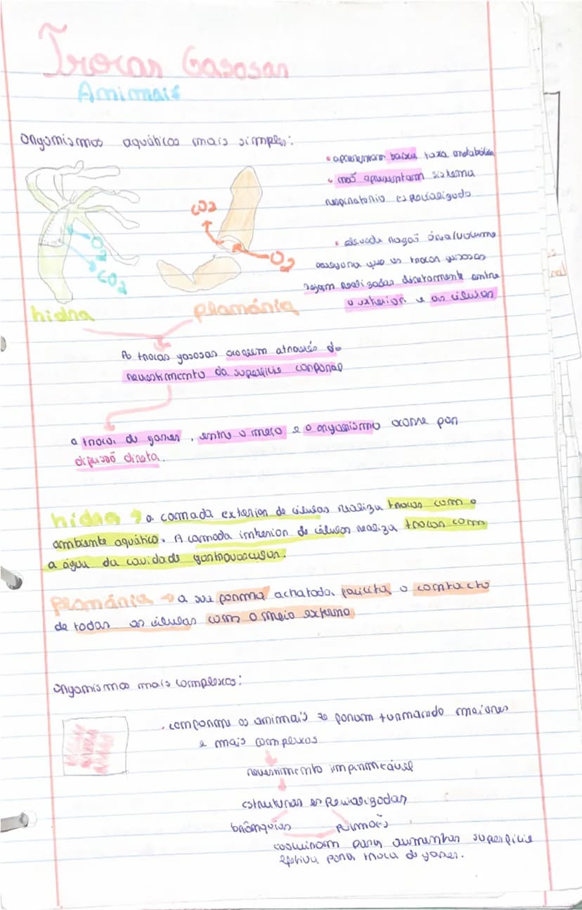 know - 3