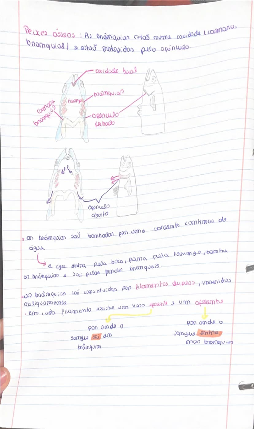 know - 6