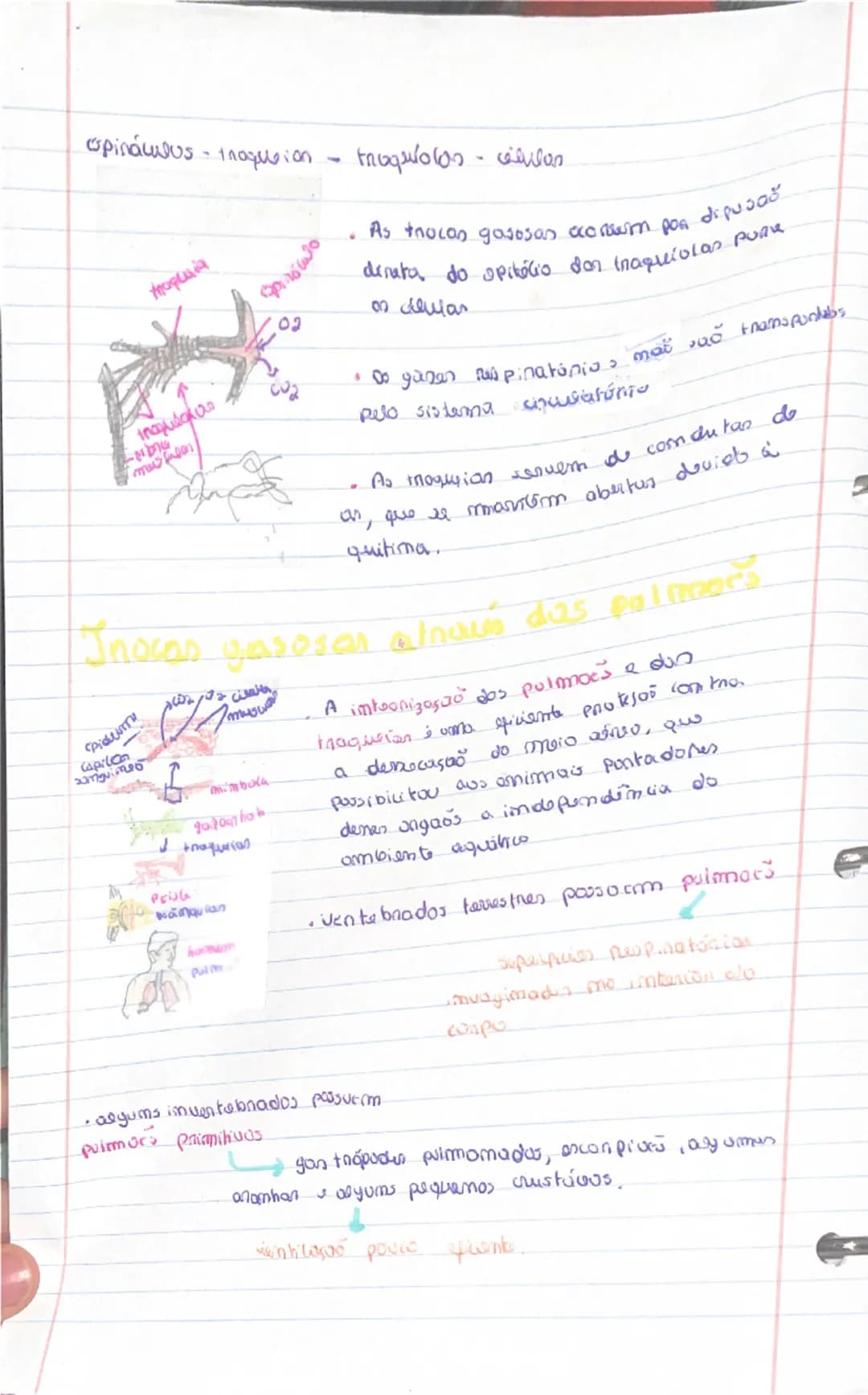 know - 8