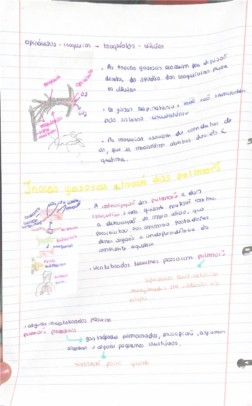 know - 8