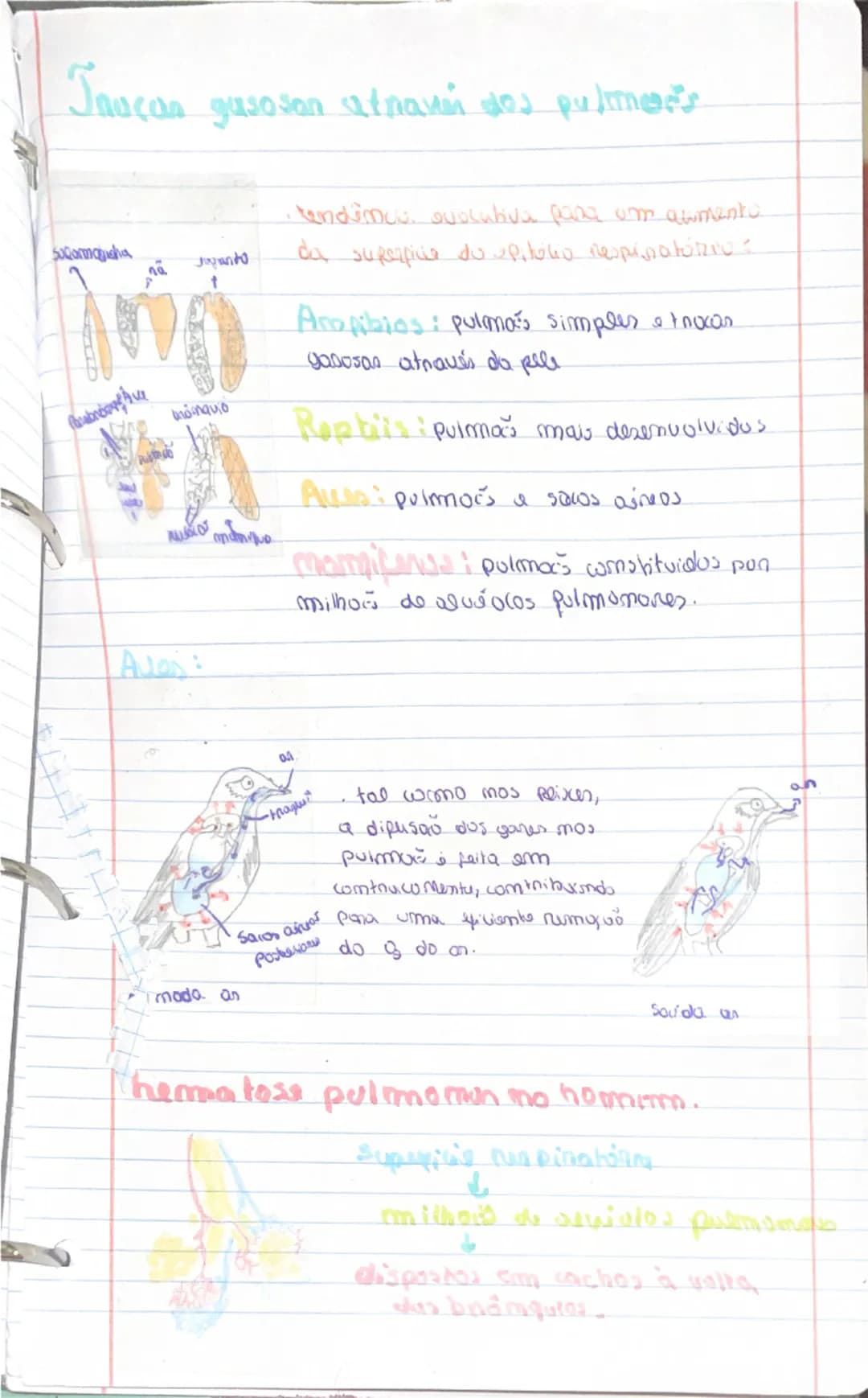 know - 9