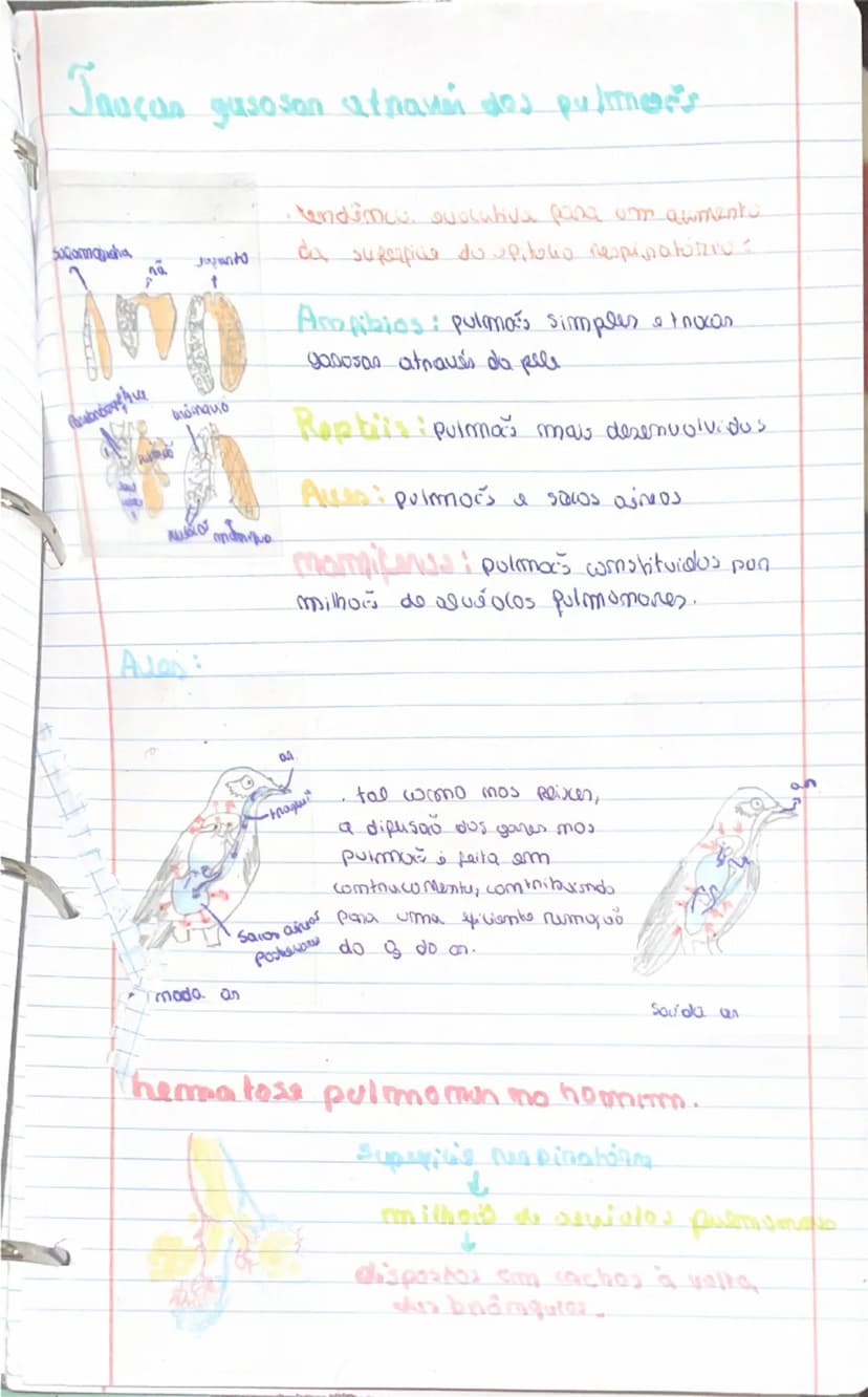 know - 9