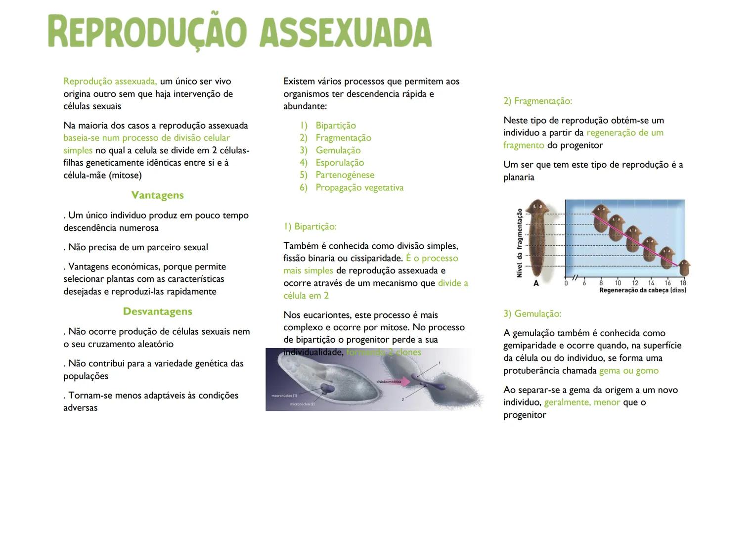 # REPRODUÇÃO ASSEXUADA

Reprodução assexuada, um único ser vivo
origina outro sem que haja intervenção de
células sexuais

Na maioria dos ca