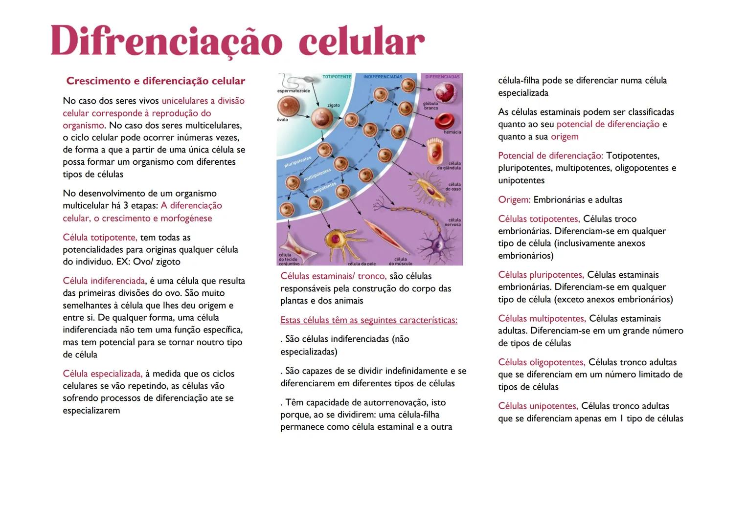 # Difrenciação celular

# Crescimento e diferenciação celular

No caso dos seres vivos unicelulares a divisão
celular corresponde à reproduç