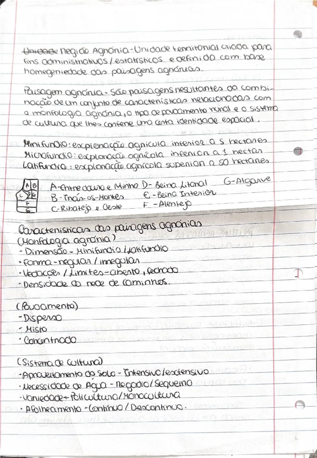 --- OCR Start ---
Geografia
•Agricultura-ativiande económica incuida no setor
priminia, através da qual se esxpuonam os necursos do
solo com