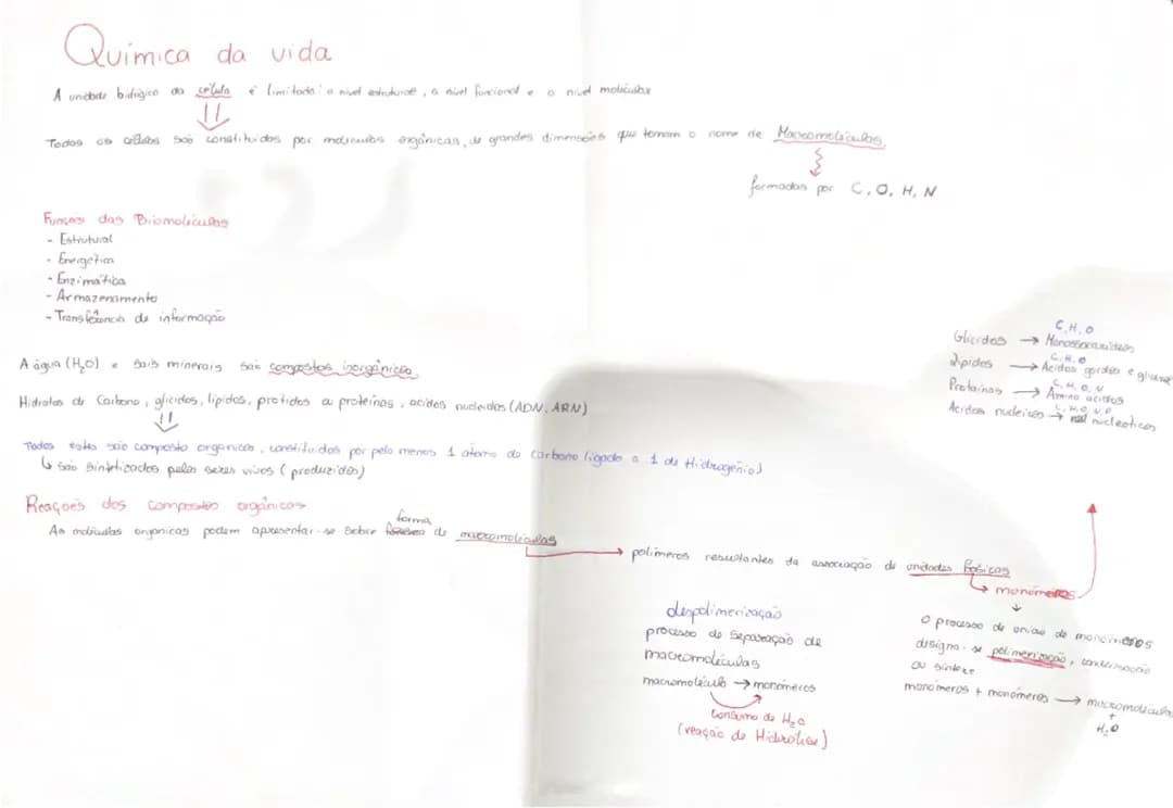 Química da Vida