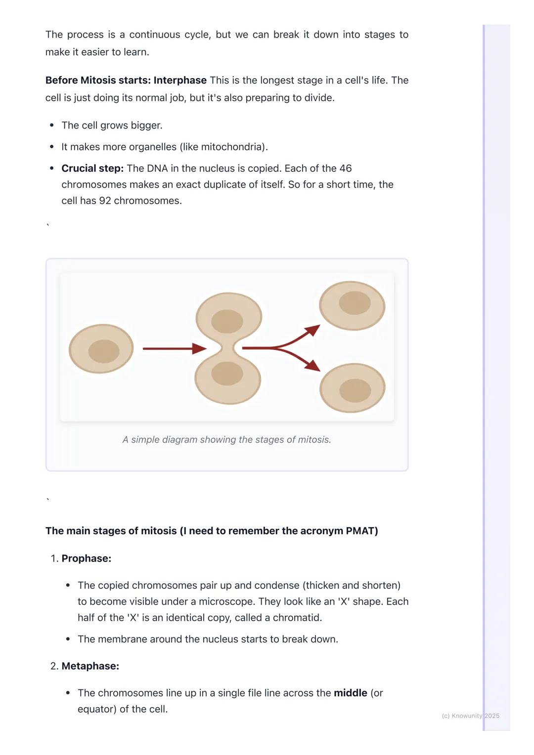 # Cell Division (Mitosis)

What is mitosis and why is it important?

Mitosis is a type of cell division. It's the process our body cells use