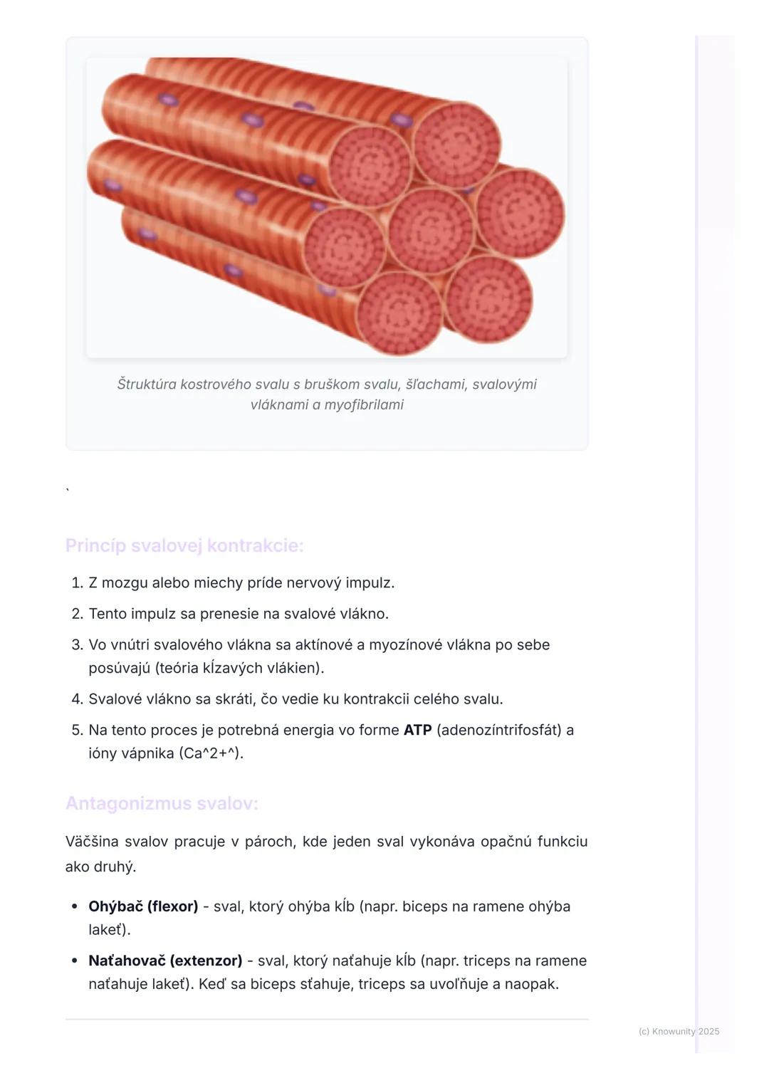 # Oporná a pohybová sústava

1. Prehľad opornej a pohybovej sústavy

Takže, oporná a pohybová sústava je vlastne taký náš vnútorný "stavebný
