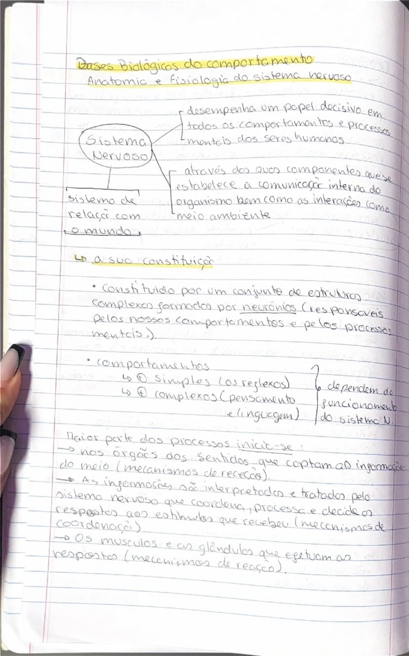 # Psicologia
-Tipos de Psicologia-
2 teste
- Psicologia educacional
Objetivos: abordar as questões do ensino e do aprendizagem
nos vários id