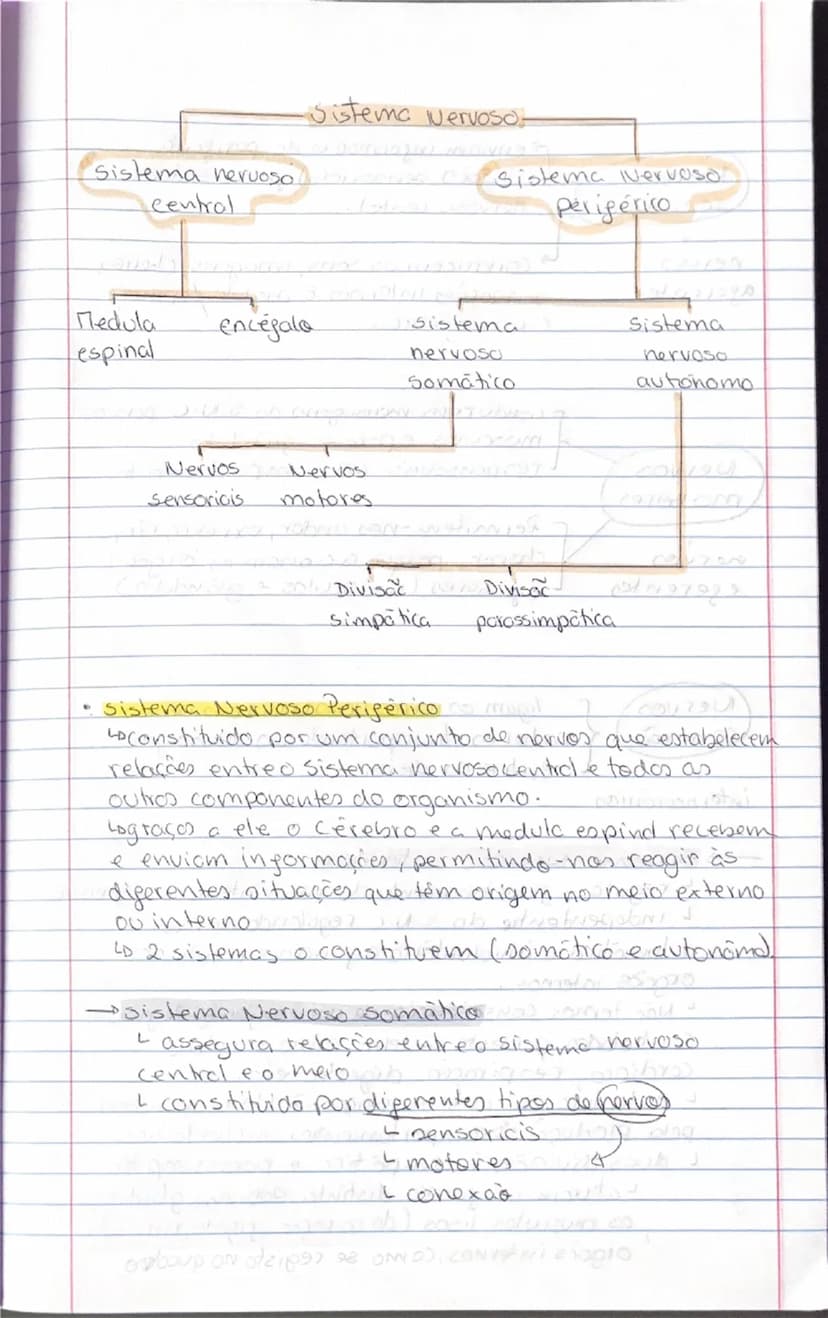 # Psicologia
-Tipos de Psicologia-
2 teste
- Psicologia educacional
Objetivos: abordar as questões do ensino e do aprendizagem
nos vários id