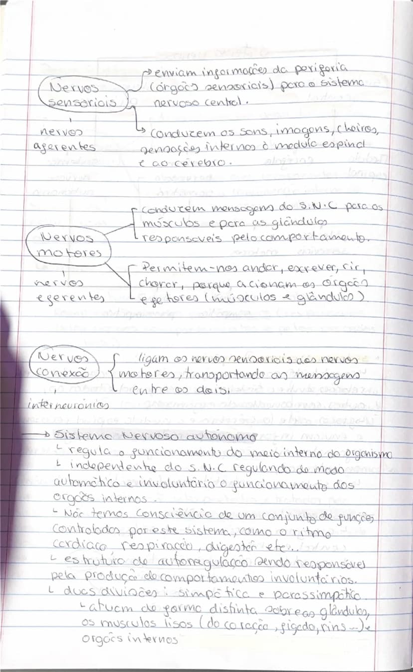 # Psicologia
-Tipos de Psicologia-
2 teste
- Psicologia educacional
Objetivos: abordar as questões do ensino e do aprendizagem
nos vários id