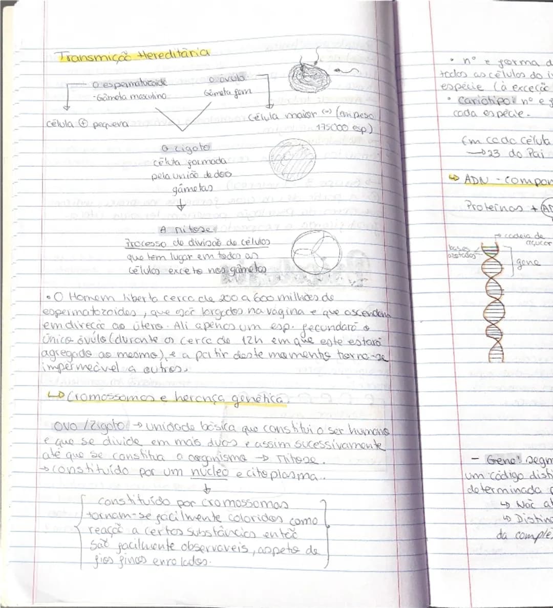 # Psicologia
-Tipos de Psicologia-
2 teste
- Psicologia educacional
Objetivos: abordar as questões do ensino e do aprendizagem
nos vários id