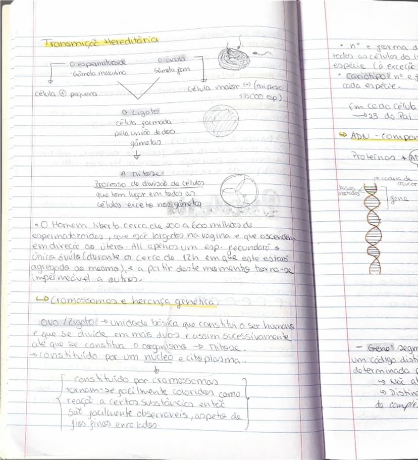 # Psicologia
-Tipos de Psicologia-
2 teste
- Psicologia educacional
Objetivos: abordar as questões do ensino e do aprendizagem
nos vários id