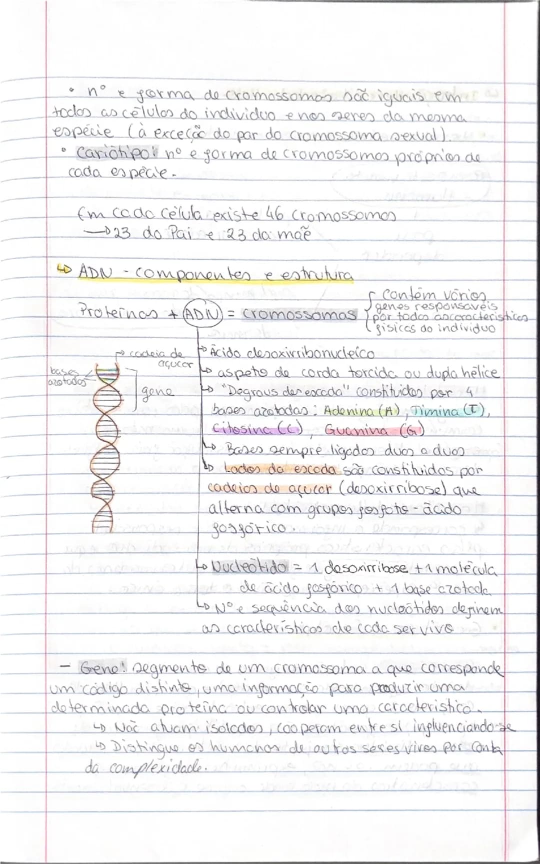 # Psicologia
-Tipos de Psicologia-
2 teste
- Psicologia educacional
Objetivos: abordar as questões do ensino e do aprendizagem
nos vários id