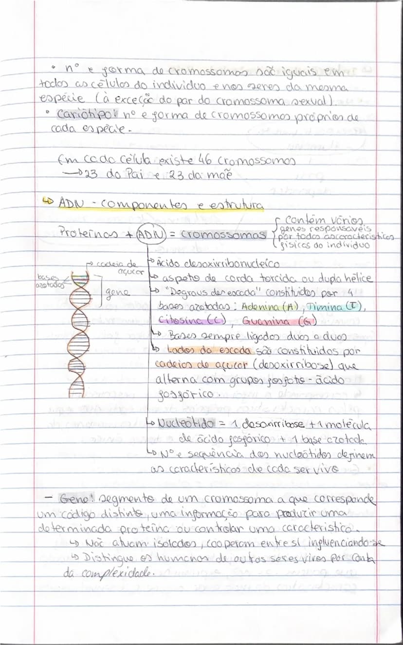 # Psicologia
-Tipos de Psicologia-
2 teste
- Psicologia educacional
Objetivos: abordar as questões do ensino e do aprendizagem
nos vários id