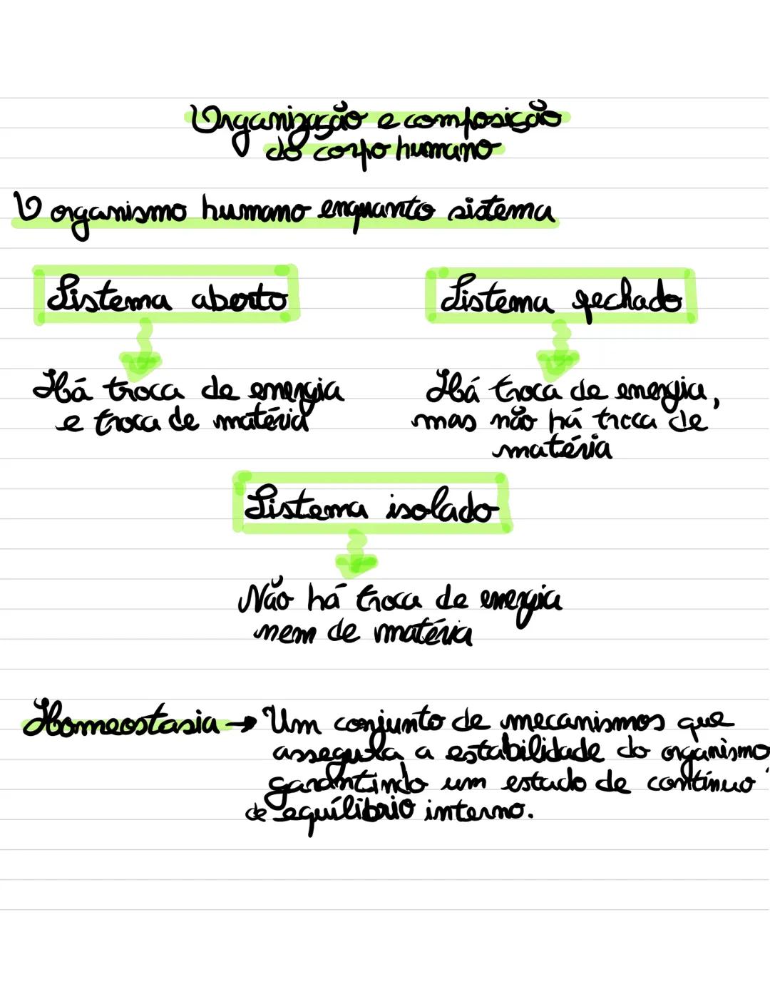 Organização e composição
docorpo humano
O organismo humano enquanto sistema
Sistema aberto
Sistema fechado
Há troca de energia
e troca de ma