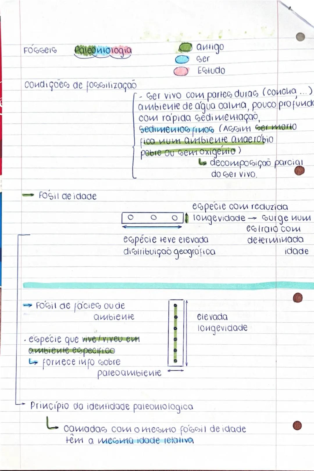 --- OCR Start ---
• Geologia 2 teste
Datação das rochas
relativa
(comparação)
absoluta
(idade M.a.)
Principios de
estratigrafia
Fosseis
de i