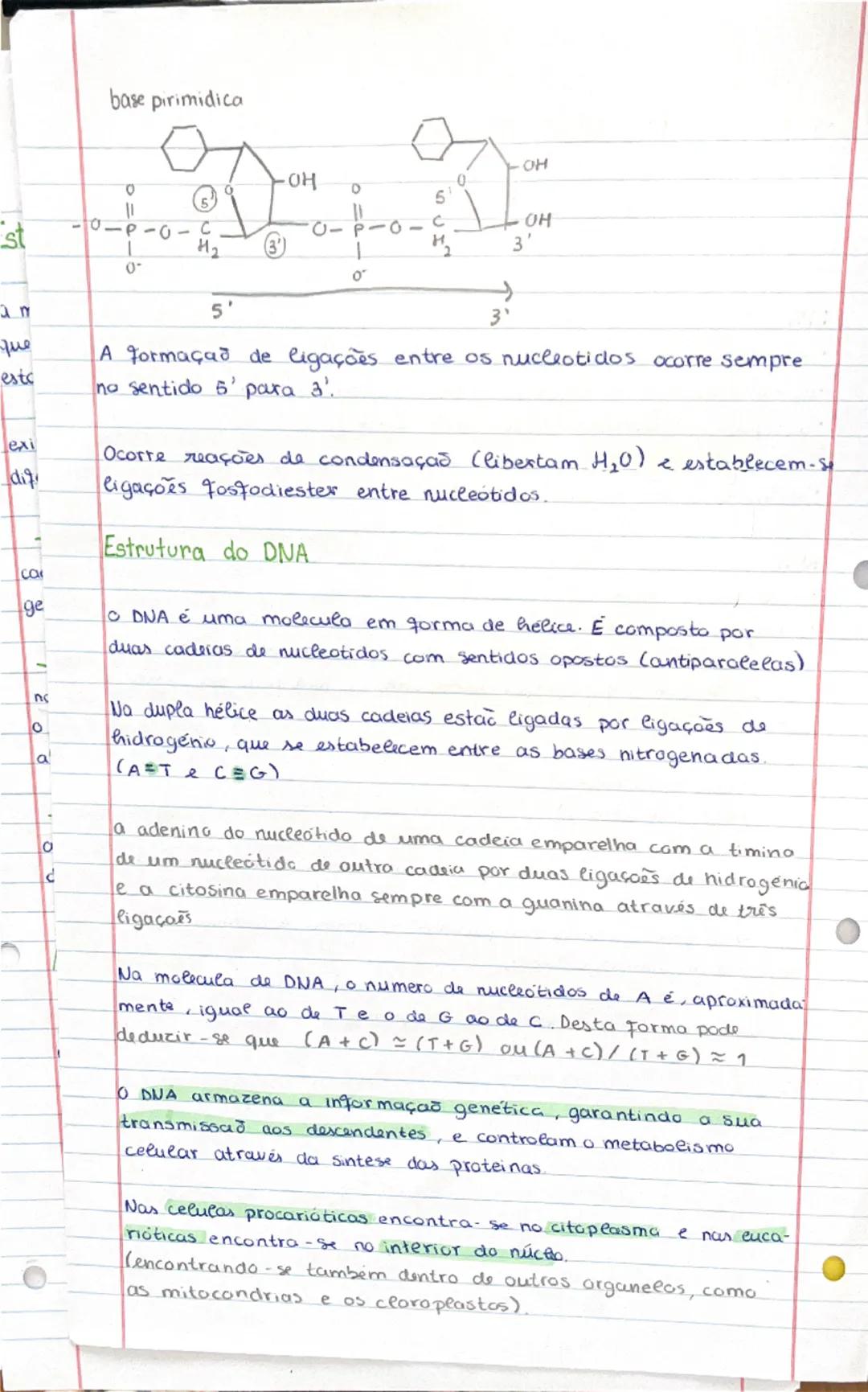 # base pirimidica

OH

OH

6

10

C

-P-O-C

0
H₂

3

OH

3'

0

0

5'

3

st

que

estc

exi

diq

CO

ge

no

0

a

0

d
A Formaçað de lig