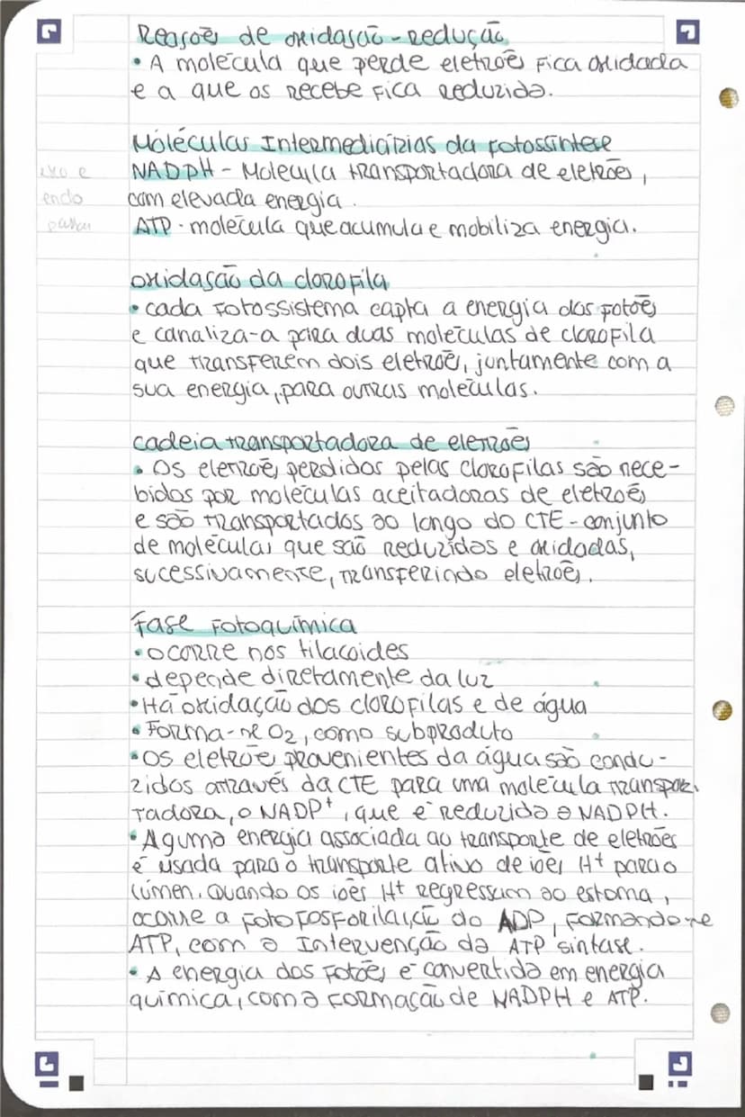 # OBTENÇÃO DE MATÉRIA PELOS
# SERES AUTOTRÓFICOS

**Fotossíntese**
equação: $6CO_2 + 12H_2O 
ightleftharpoons C_6H_{12}O_6 + 6O_2 + 6H_2O$
$
