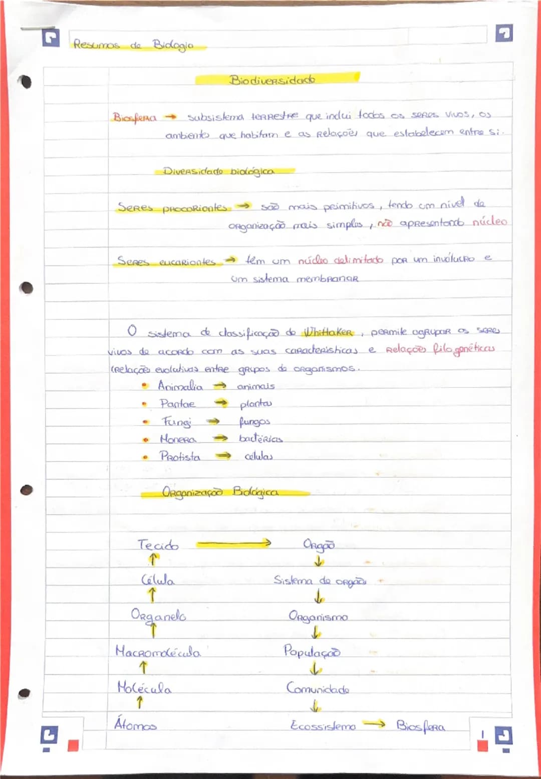 Resumos de Biologia 10º ano 