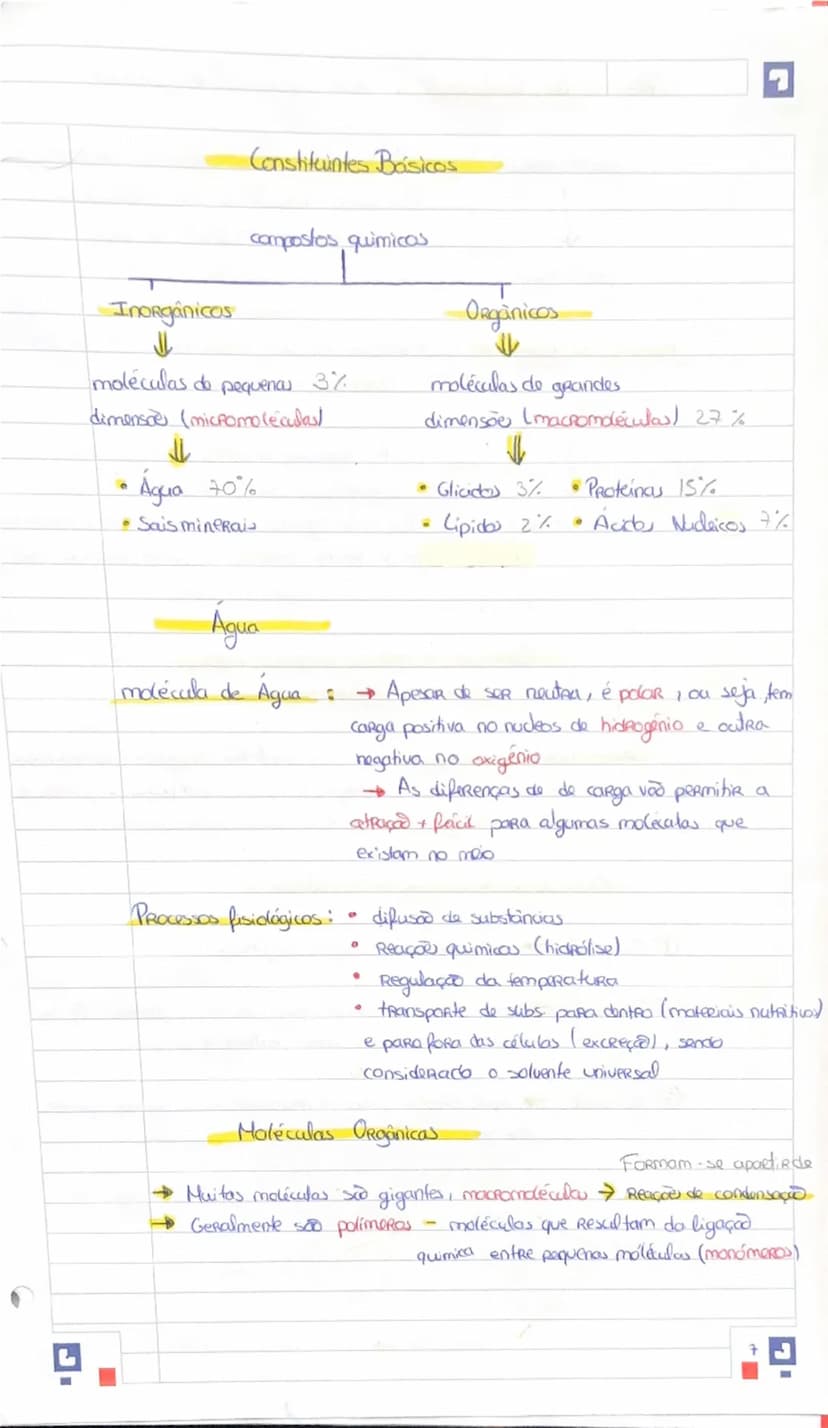 --- OCR Start ---
Resumos de Bidogia
Biodiversidade
Biosfera subsistema terrestre que indui todos os seres vivos, os
ambientes que habifarm 