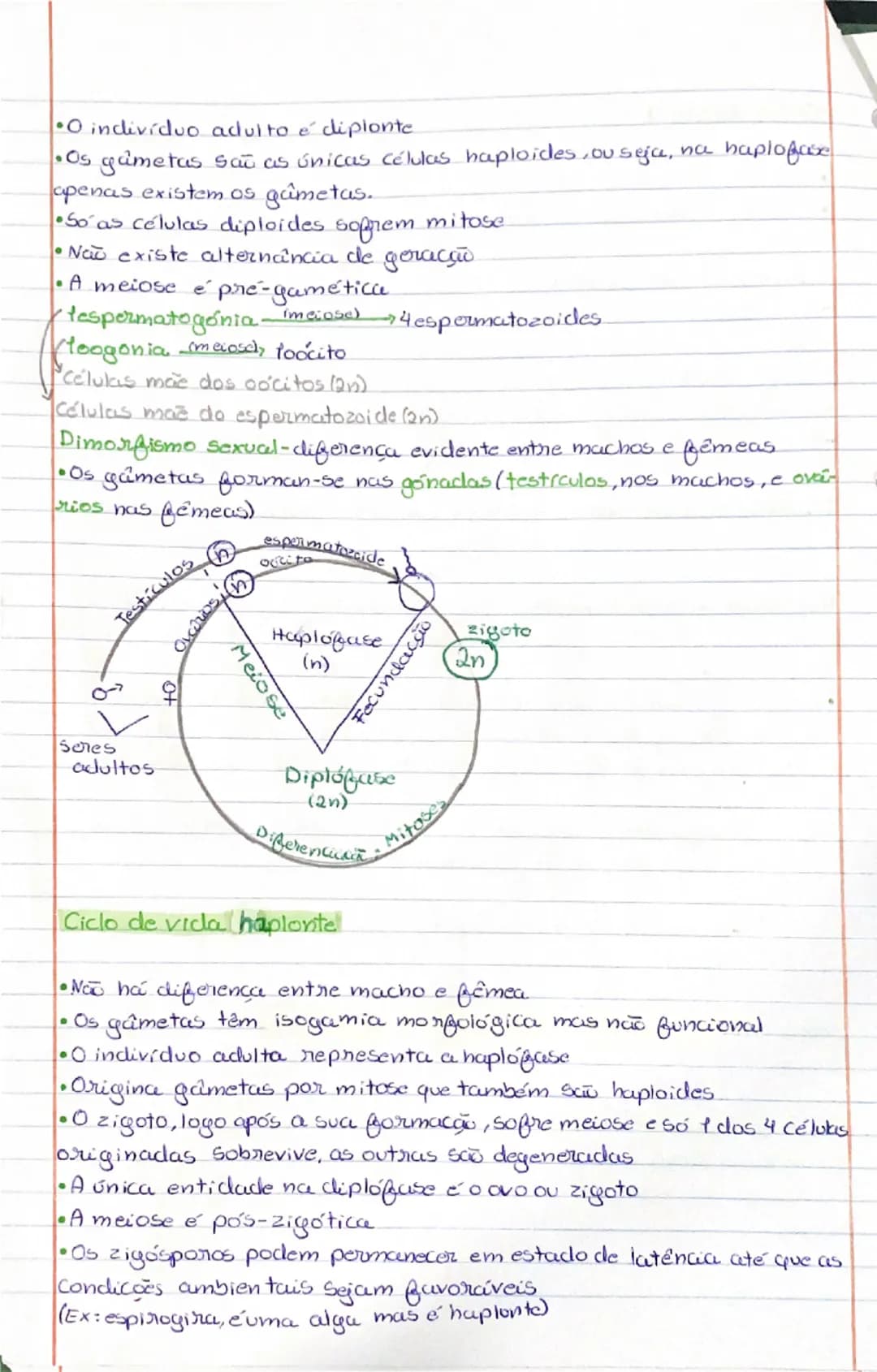 --- OCR Start ---
Ciclos de Vida
• Ciclo de vida diplonte
• Ciclo de vida haplonte
Ciclo de vida haplodiplonte
Características comuns:
-Fecu
