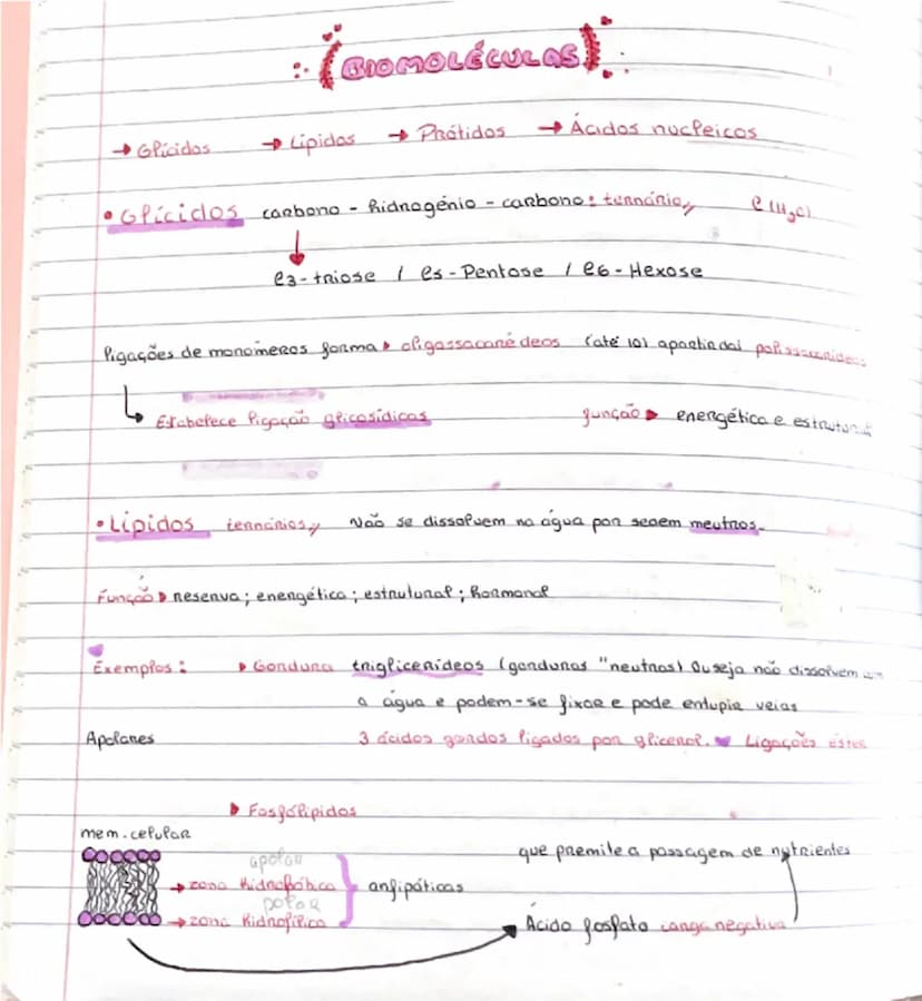 # BIOMOLÉCULAS

- Glicídeos  → Lipidos → Prótidos → Ácidos nucléicos

• Glicídeos carbono - hidrogênio - carbono e oxigênio  ($C_xH_yO_z$)

