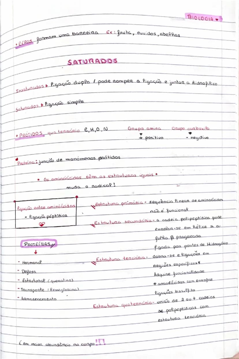 # BIOMOLÉCULAS

- Glicídeos  → Lipidos → Prótidos → Ácidos nucléicos

• Glicídeos carbono - hidrogênio - carbono e oxigênio  ($C_xH_yO_z$)

