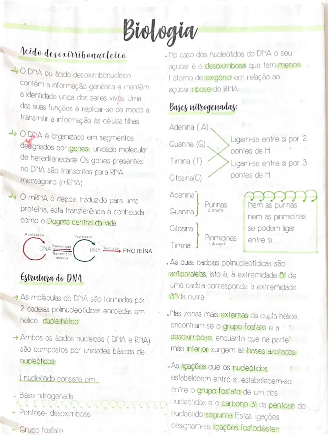 # Biologia

Acido desoxirribonucleico

- O DNA ou ácido desoxirribonucleico
contém a informação genética e mantém
a identidade única dos ser