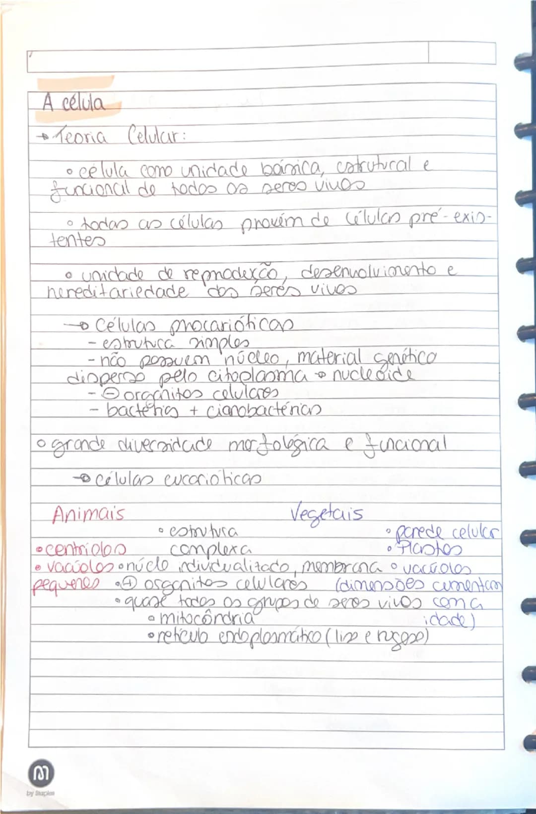 Resumos A célula