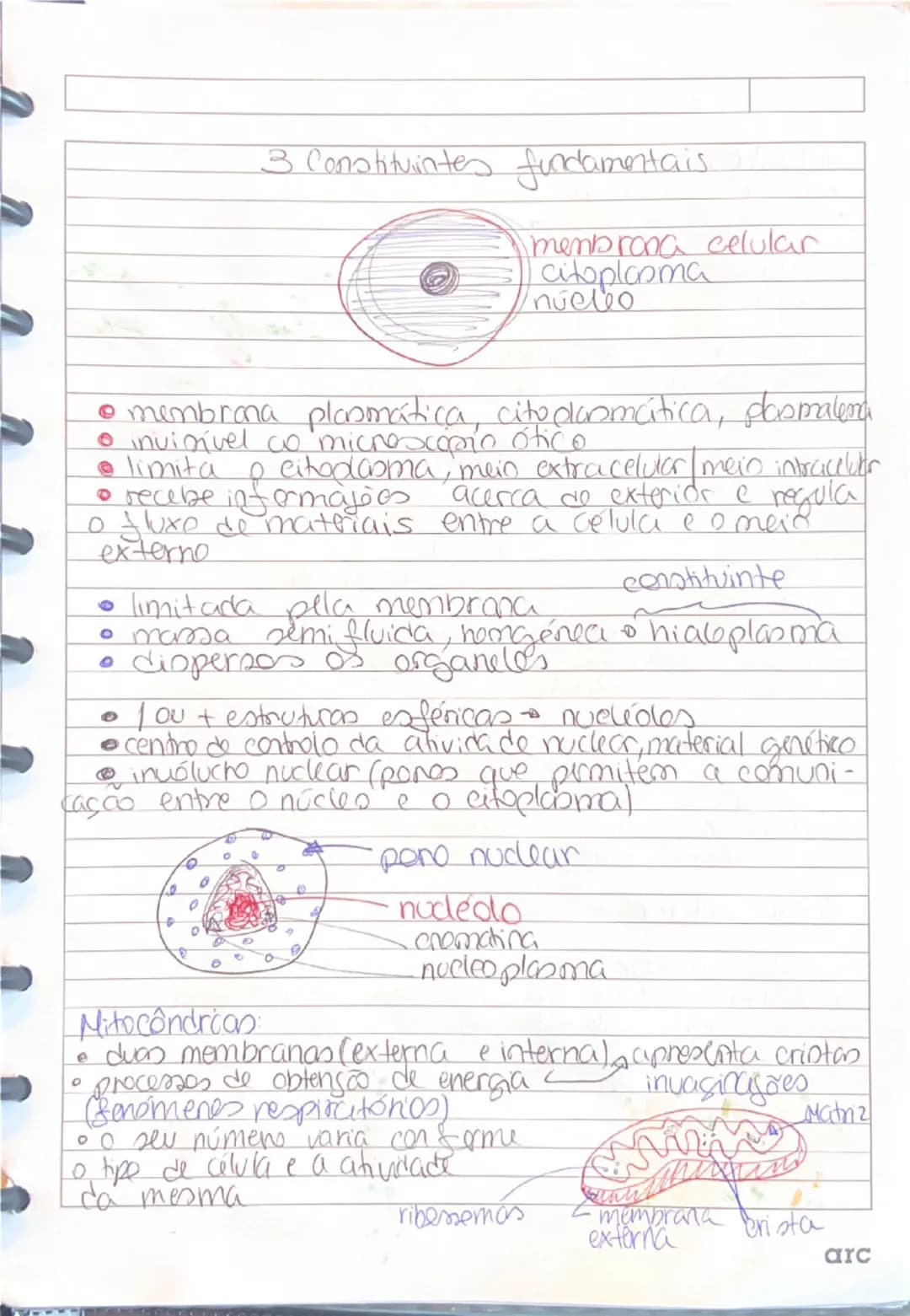 know - 2
