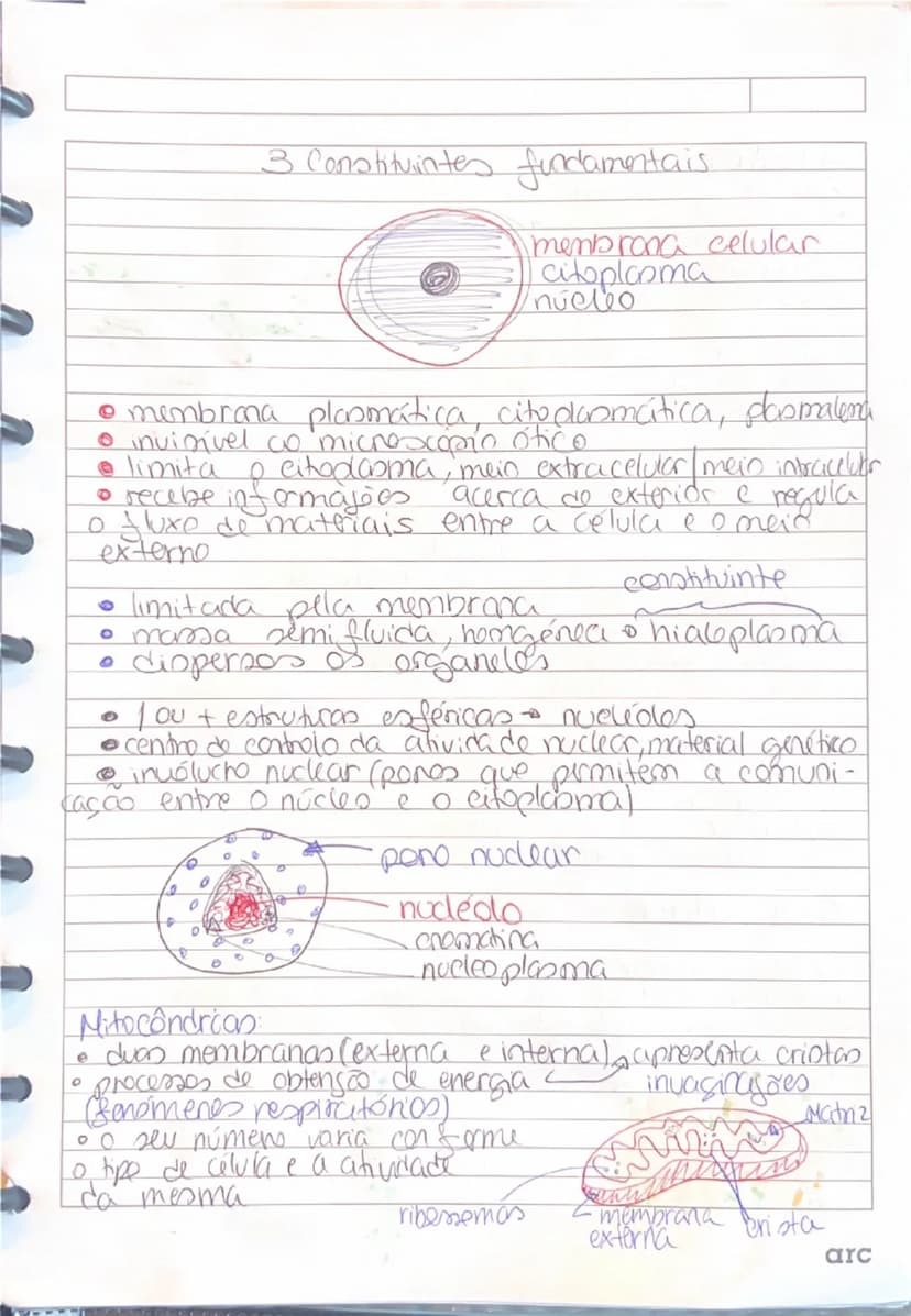know - 2
