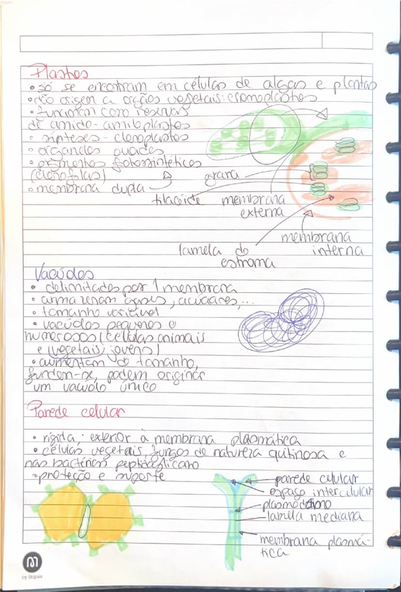 know - 3