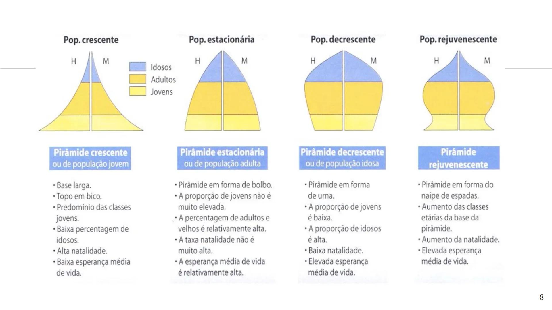 1



Estrutura Etária


“ 1960

H M
Idades
285
80-84
Idosos
75-79
(265 anos)
70-74
65-69
Adultos
60-64
(15-64 anos)
55-59
Jovens
50-54
(0-14
