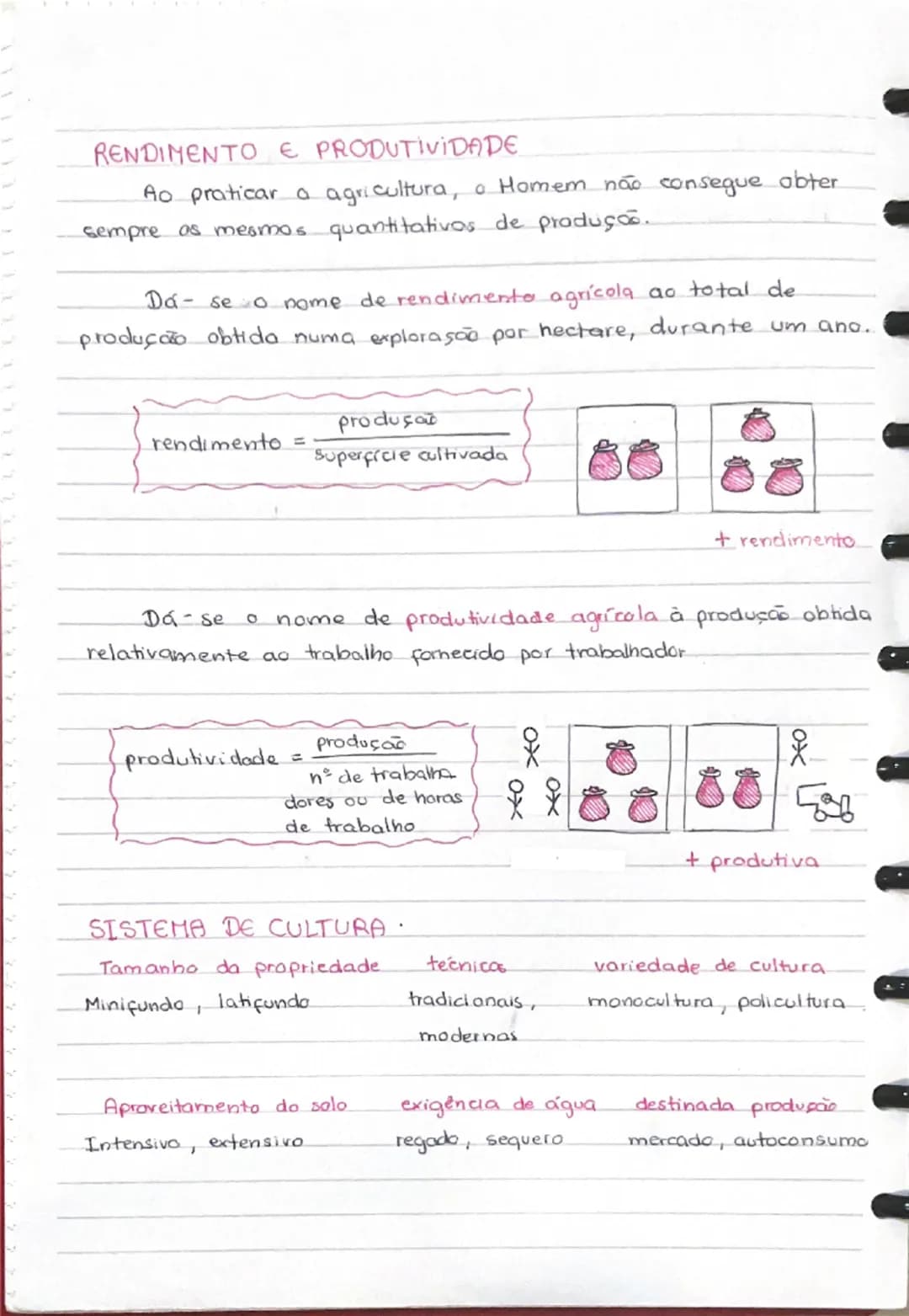 Agricultura 