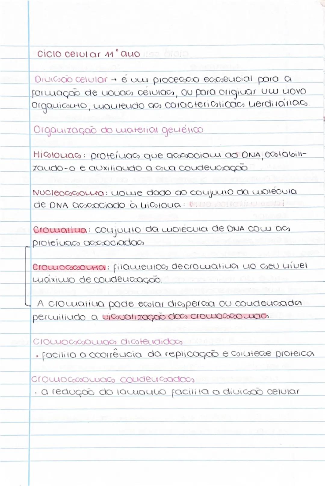 Entendendo o Ciclo Celular para Biologia 11º Ano