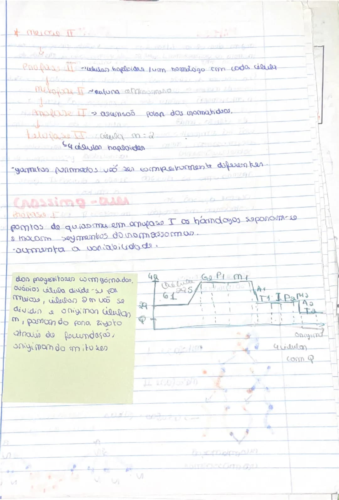 know - 13