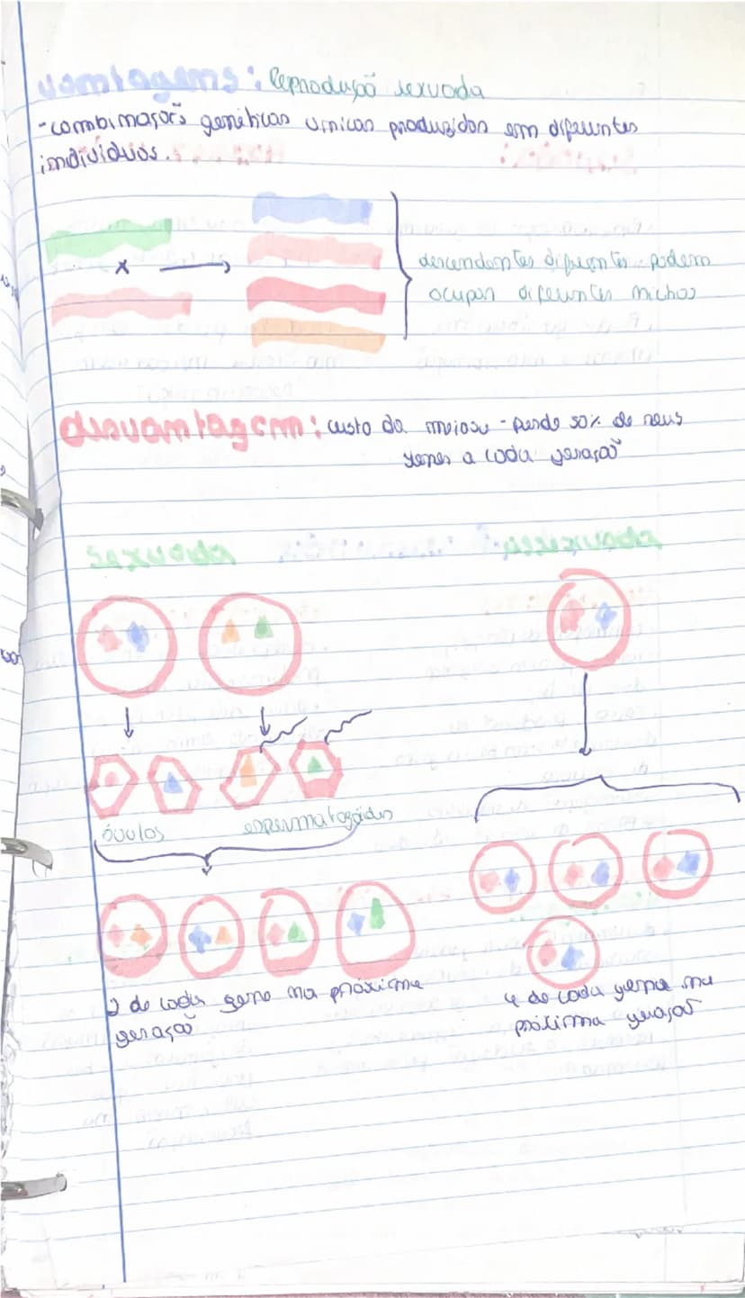 know - 15