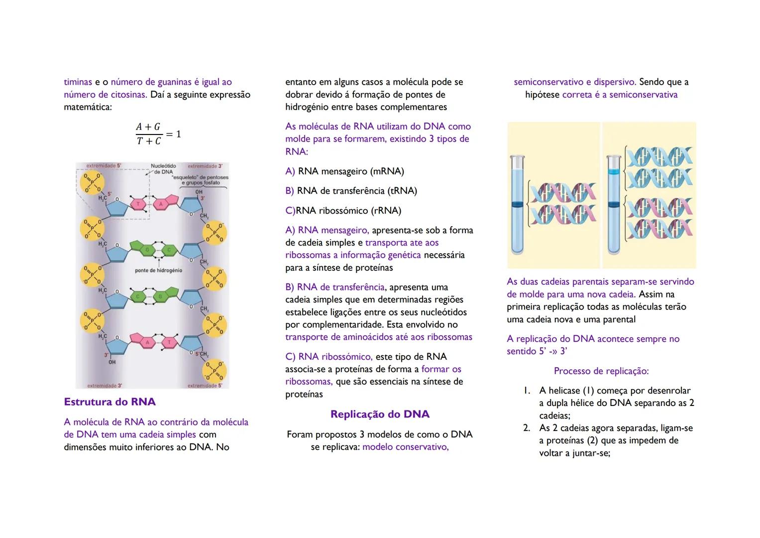 # Acidos nucleicos

Ácidos nucleicos são biomoléculas cujo o
monómero são os nucleótidos. Cada
nucleótido é formado por uma base
nitrogenada