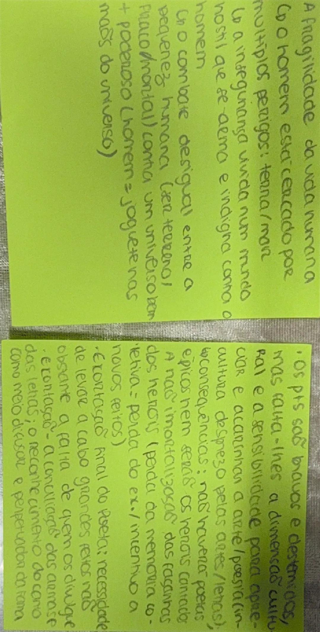 # Luís de Camões, os Lusíadas

> Representações do Poeta

- Canto I (est. 105 e 106)
Tema do Recto: a fragilidade da vida humana
Posicioname