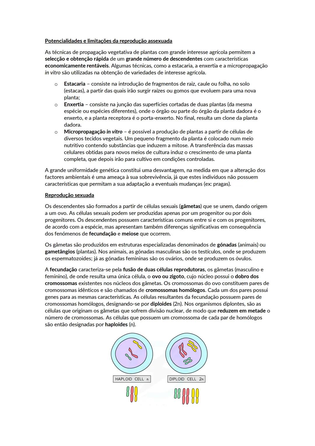 Crescimento e renovação celular
Os ácidos nucleicos são polímeros de nucleótidos. Existem dois tipos de ácidos nucleico, o DNA
e o RNA. Cada