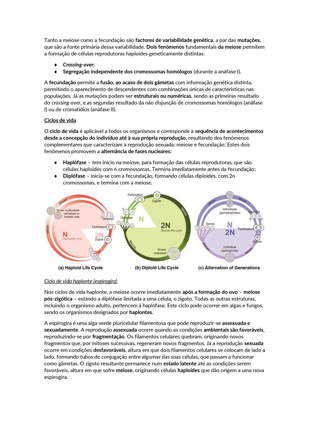 Crescimento e renovação celular
Os ácidos nucleicos são polímeros de nucleótidos. Existem dois tipos de ácidos nucleico, o DNA
e o RNA. Cada