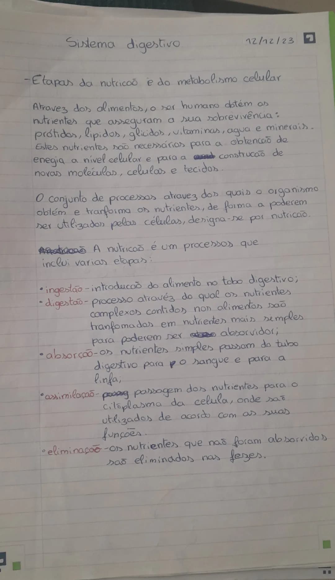 Sistema digestivo 
